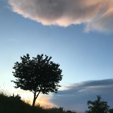 Inn Dom Piwowara Leśna