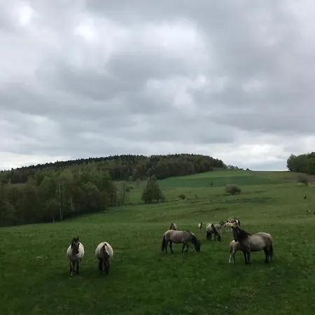 Inn Dom Piwowara *