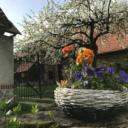 Inn Dom Piwowara