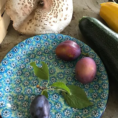 Inn Dom Piwowara Leśna