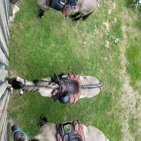 Inn Dom Piwowara Leśna