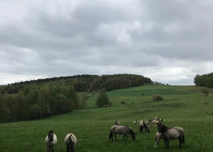 여관 Dom Piwowara *