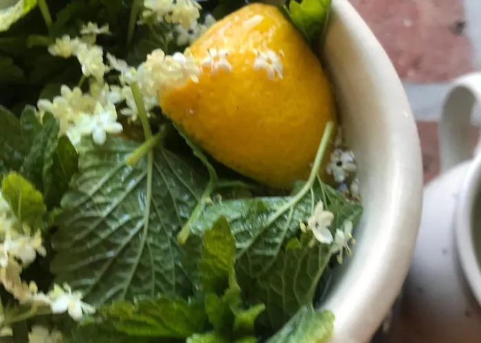 여관 Dom Piwowara *