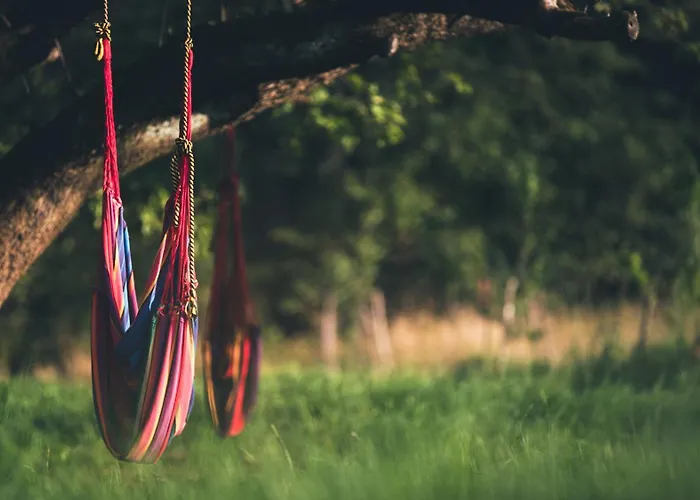 여관 Dom Piwowara *