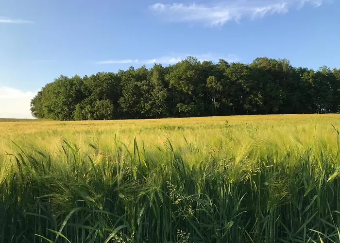 Dom Piwowara 여관 *