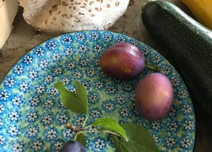 여관 Dom Piwowara 레스나