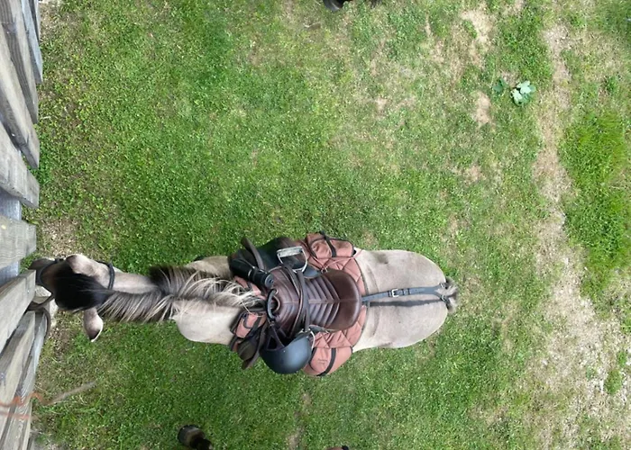 여관 Dom Piwowara 레스나