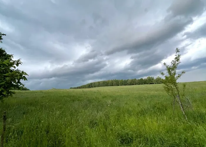 여관 Dom Piwowara *